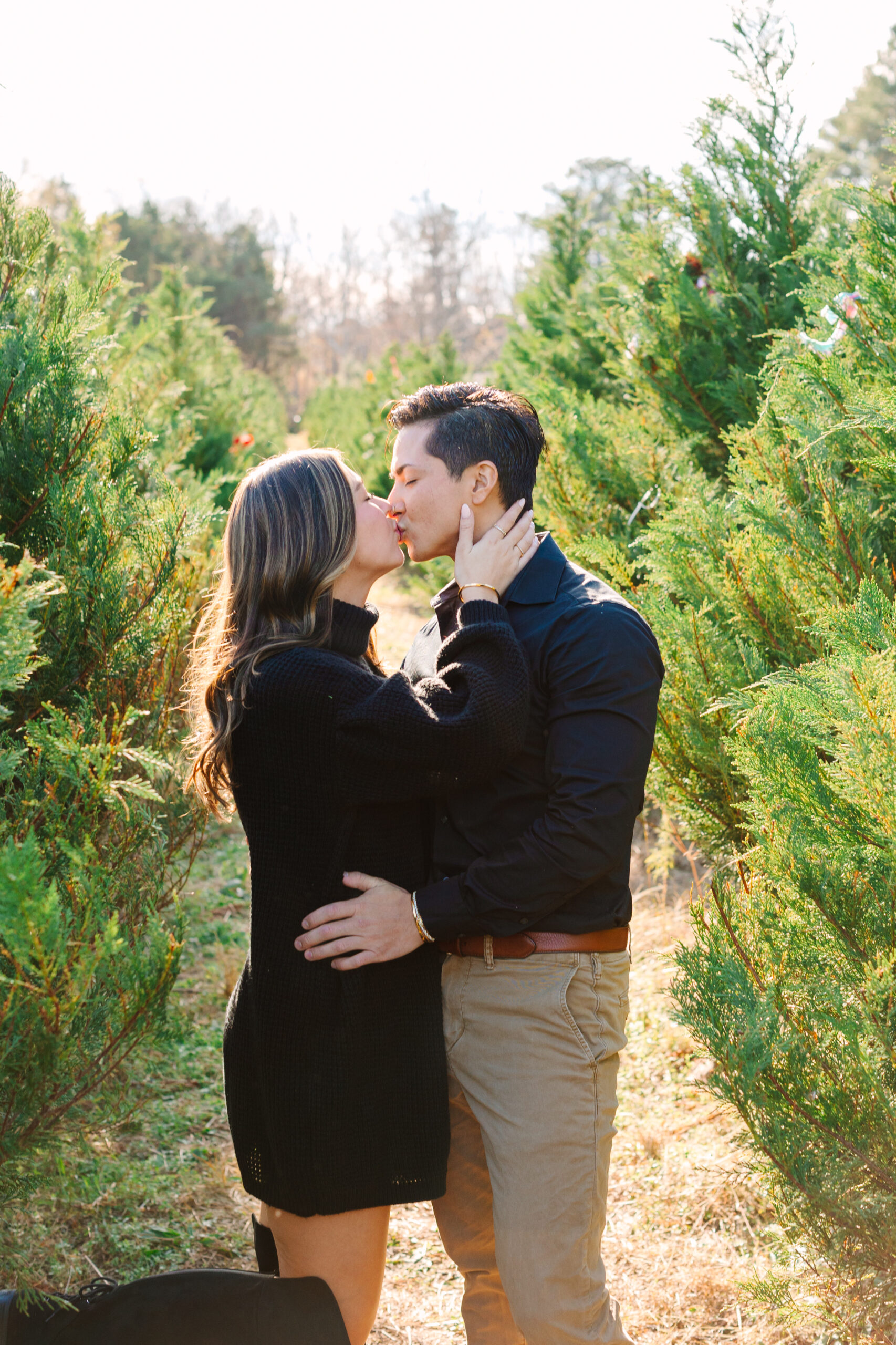 Williamsburg Virginia Christmas Tree Farm mini sessions couple poses along the trees