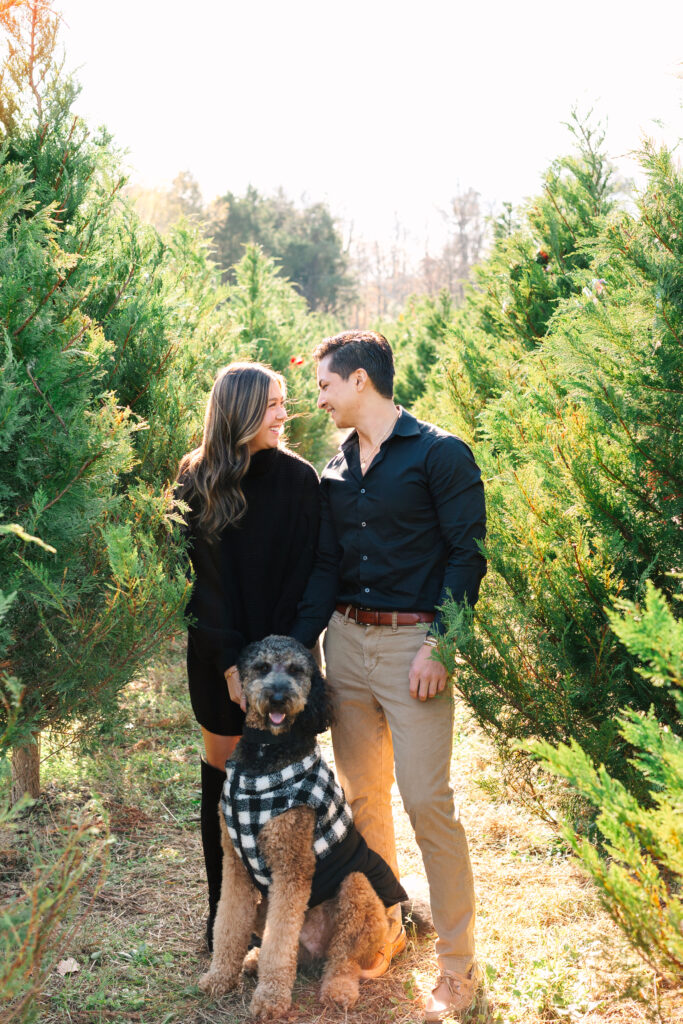 Christmas Tree Farm Couples Photos